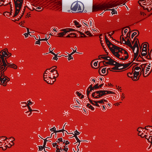 Petit Bateau - BILVIE - Multicolore