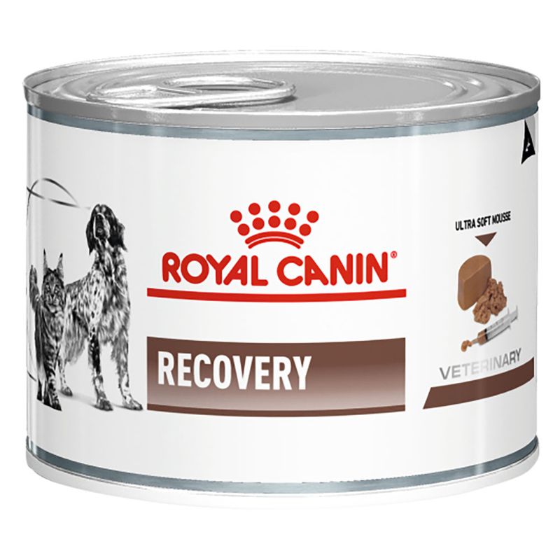 Royal Canin Veterinary Recovery en mousse