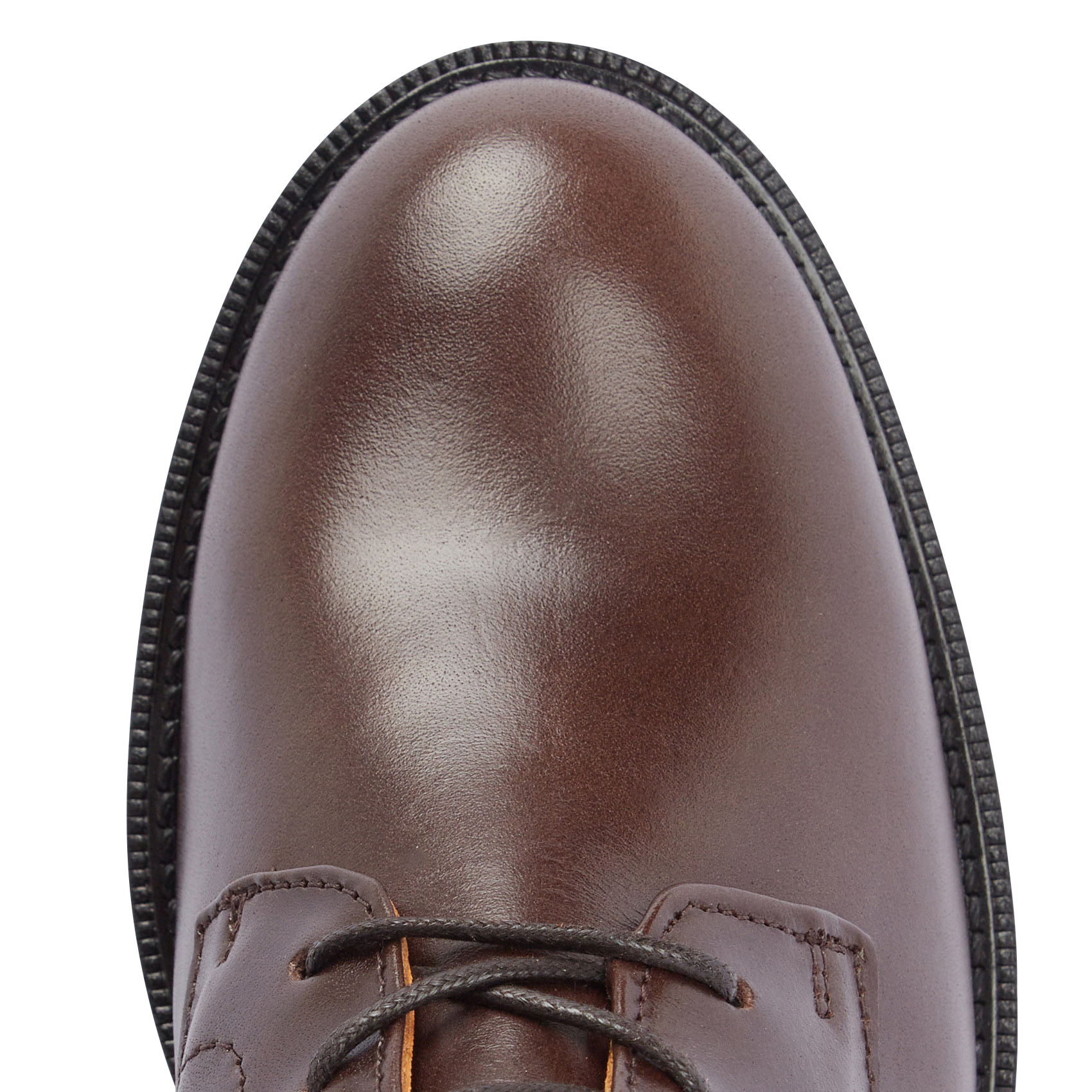 CANDIDE DESERT - Bottines en cuir | Marron