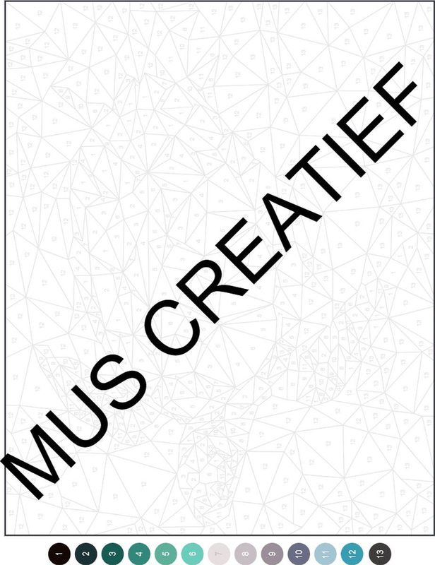 Kleuren-Op-Nummer - 21 Puzzels - Creatief - Kleurcodes