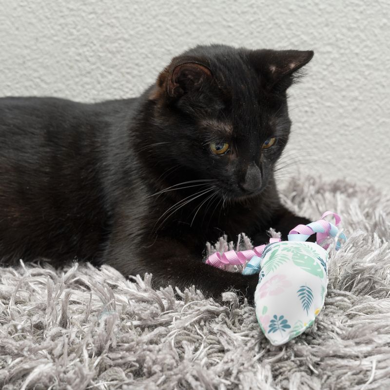 Jouet TIAKI Planche de surf avec menthe à chat