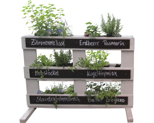 Pallet verhoogd bed, verticaal bed voor kruiden, 120 x 40 x 84 cm, crèmewit