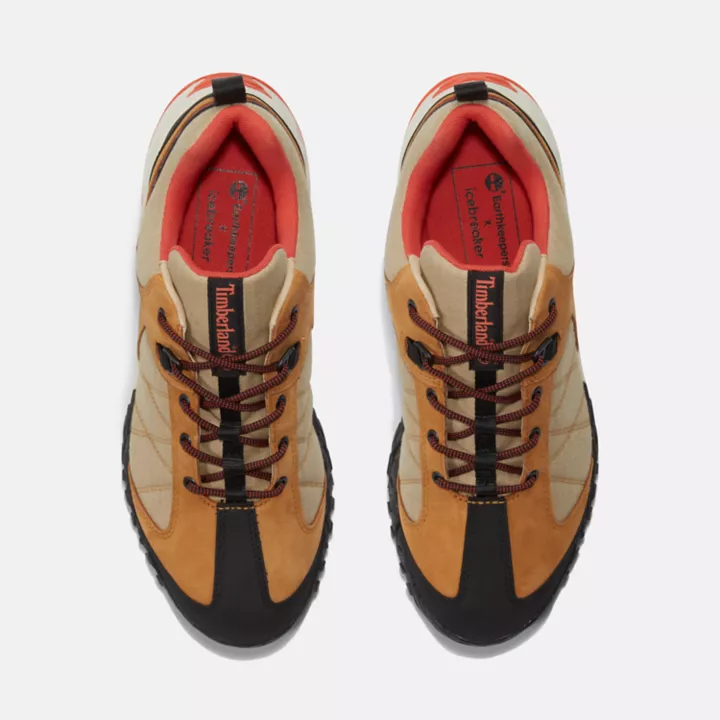 Chaussures de randonnée imperméables Trailquest Timberland x Icebreaker pour homme en jaune