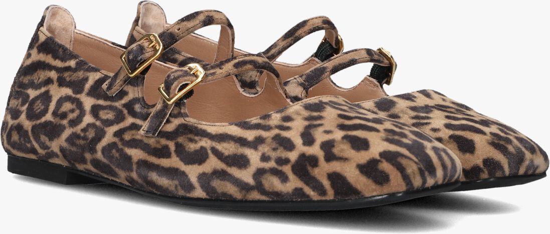 taupe unisa ballerina's berley