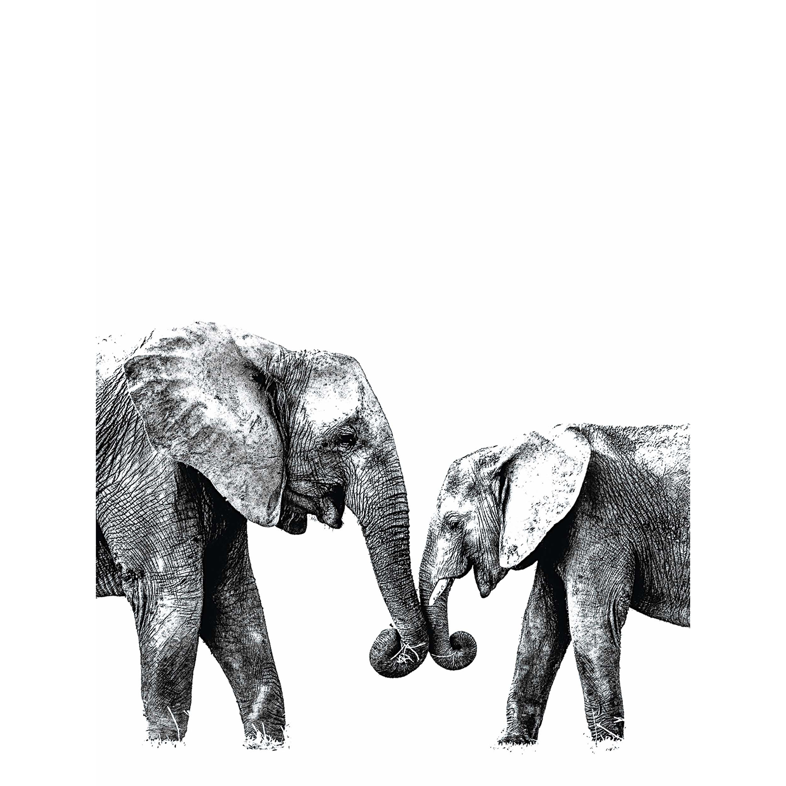 Gerahmtes Bild ELEPHANT LOVE - schwarz-weiß - 30x40 cm