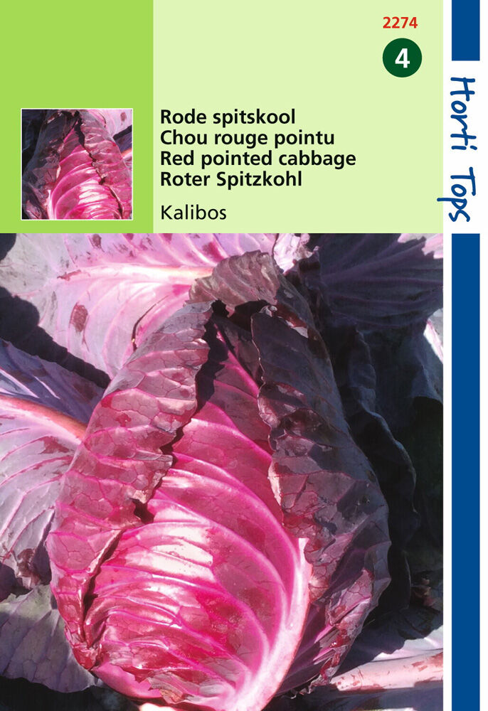 Hortitops Rode kool Kalibos - Groentezaden