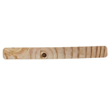 Tuinplank Douglas hout geschaafd 180 x 14 x 1,6 cm