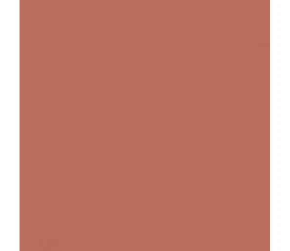 DIOR ROUGE DIOR BALM MATTE200 Terra Bella matte finish