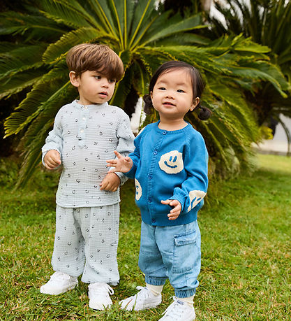 Molo Cardigan - Strick - Brody - Lagoa