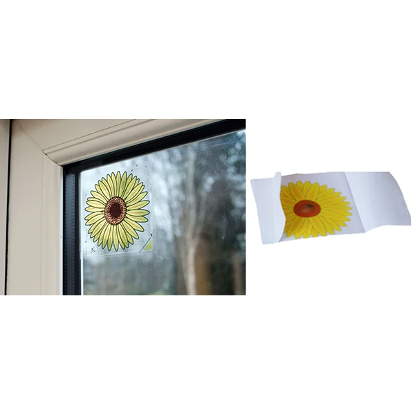 Set de 20 stickers attrape-mouches pour fenêtre Tournesol