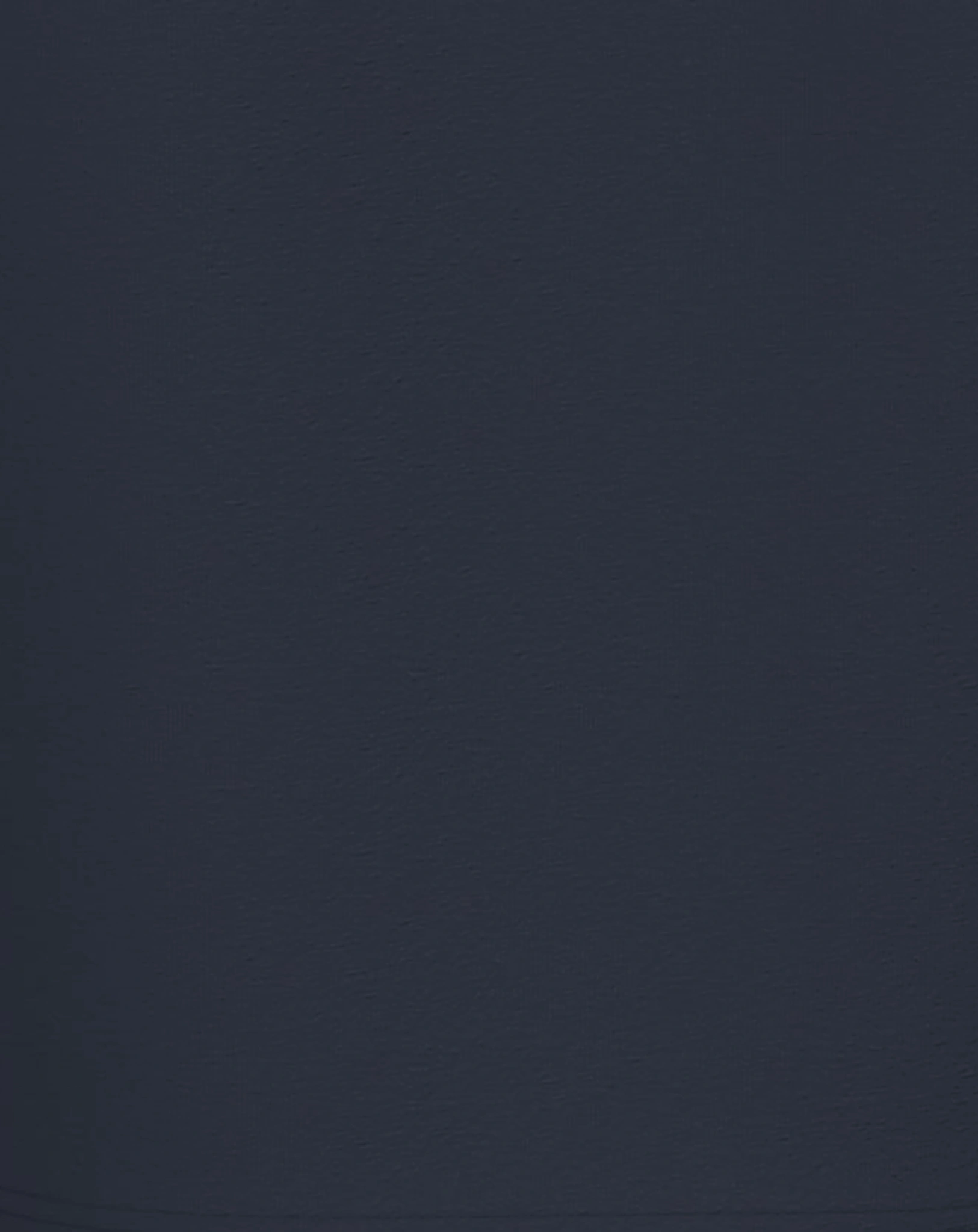 Jersey-Langarmshirt NMMVUX LITTLE DUDE in dark sapphire