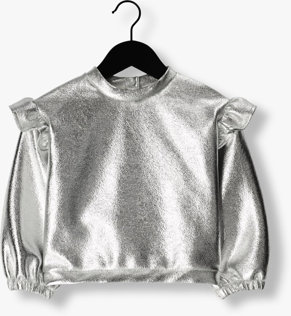 AMMEHOELA zilveren ammehoela sweater am.philou.22