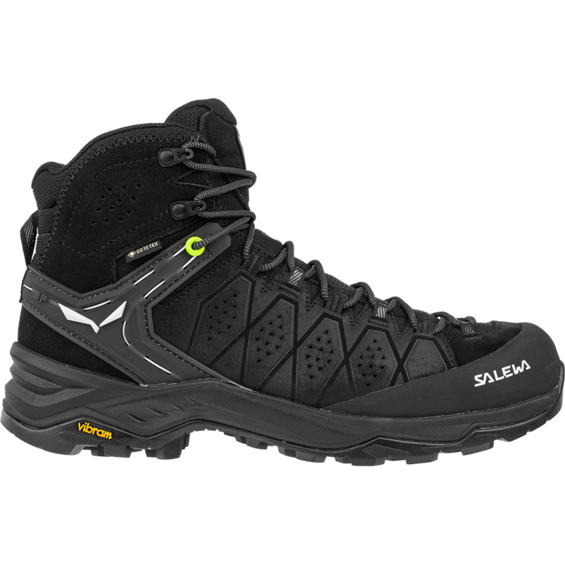 Salewa Herren Alp Trainer 2 Mid GTX Schuhe