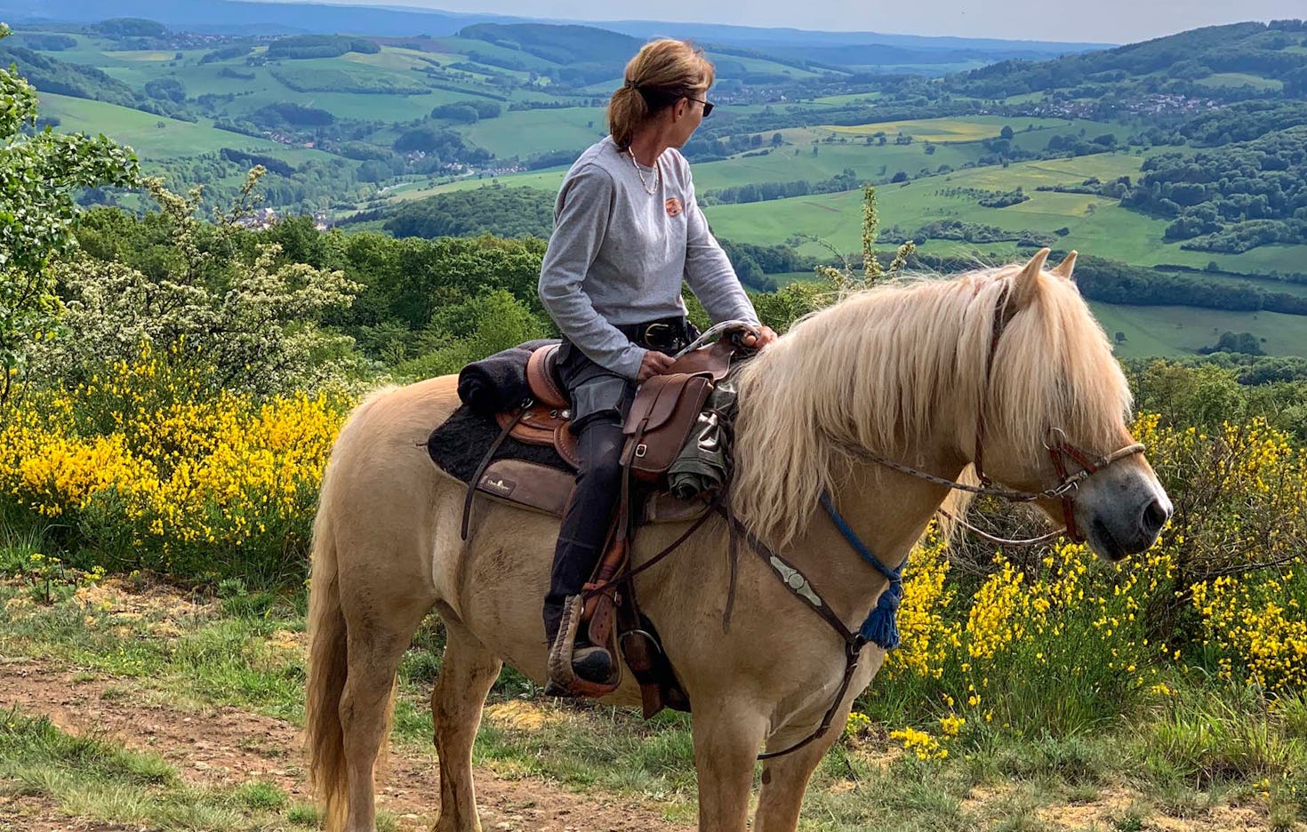 Wanderreiten Aschbach