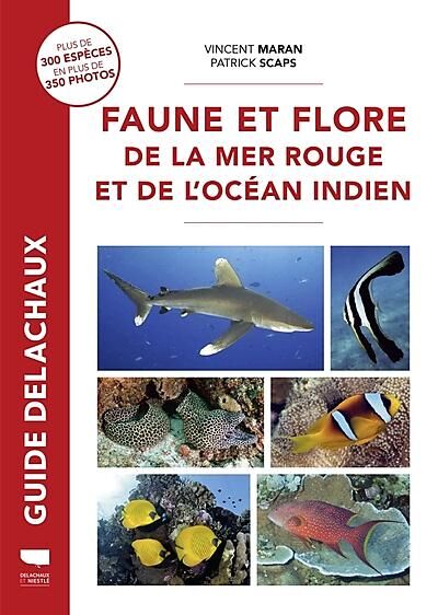 DELACHAUX  NIESTLE - FAUNE ET FLORE DE LA MER ROUGE 'OCEAN INDIEN
