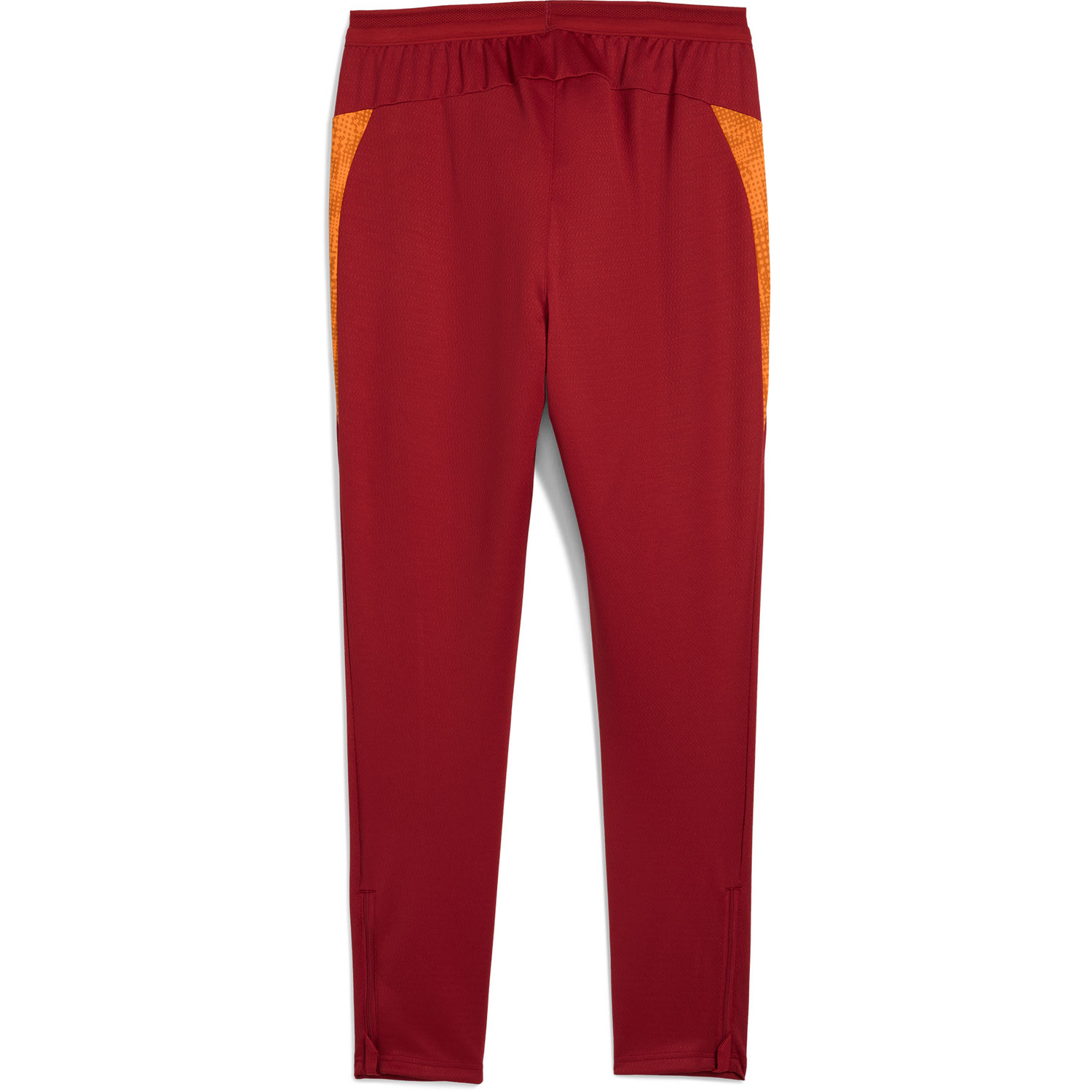 Puma Galatasaray Training Pant 2025/2026