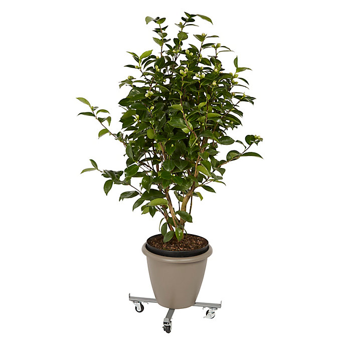 Plateau de manutention croix 100 kg Diall
