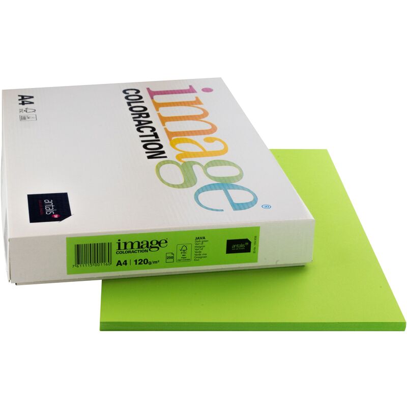Image Coloraction Papier farbig, A4, 120 g/m², java maigrün