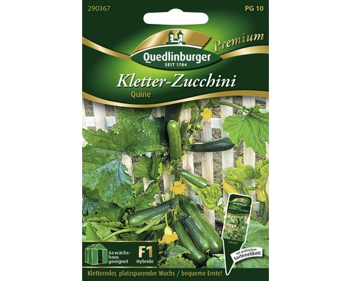 Klimcourgette 'Quine' Quedlinburg groentezaden
