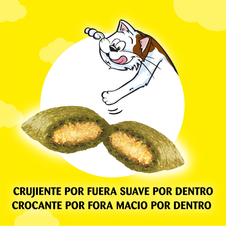 Catisfactions Petiscos de Catnip para Gatos