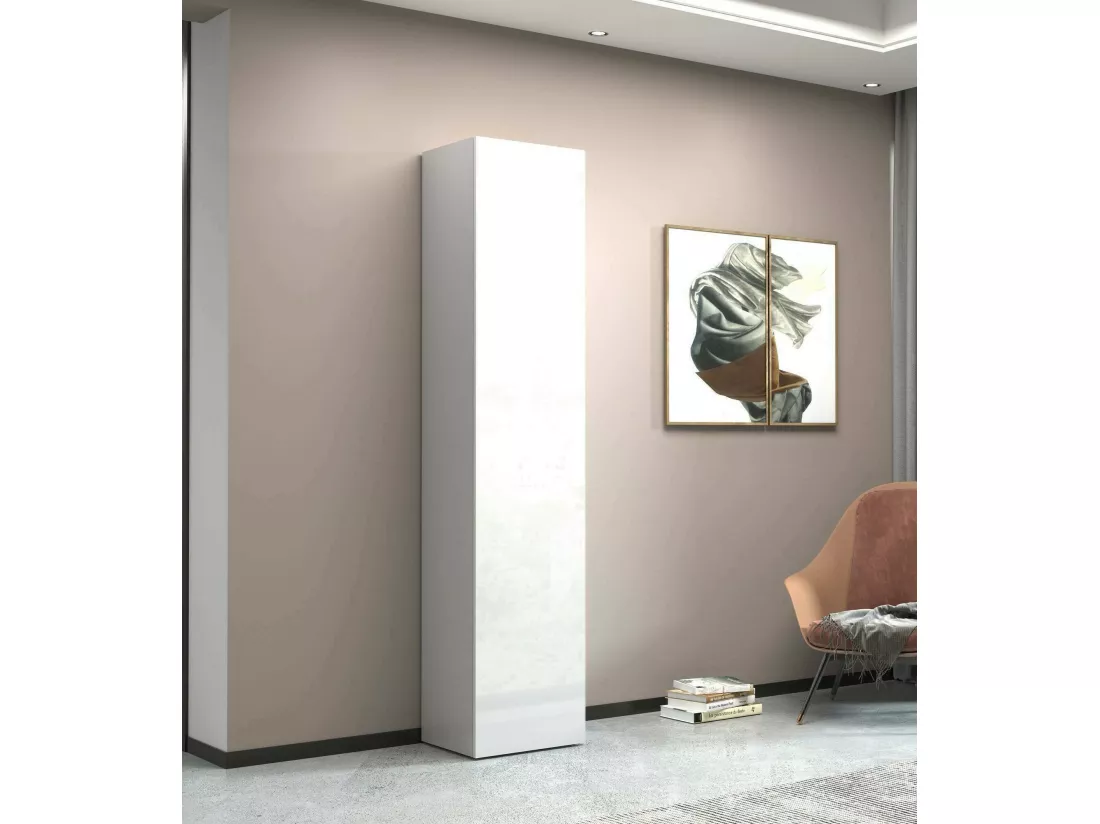 Armoire polyvalente 1 porte Ddastolf, Armoire polyvalente avec 1 porte, Armoire multifonctionnelle, 45x35h190 cm, Blanc