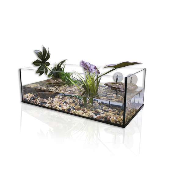 Terrarium en verre 