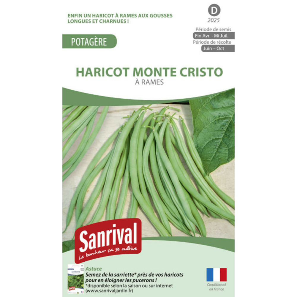 Graines haricot à rames monte cristo