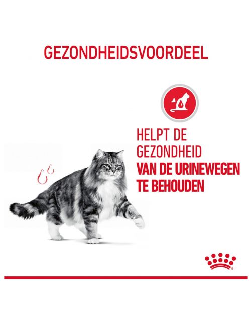 Royal Canin Urinary Care - In Gravy - Kattenvoer - 85 g