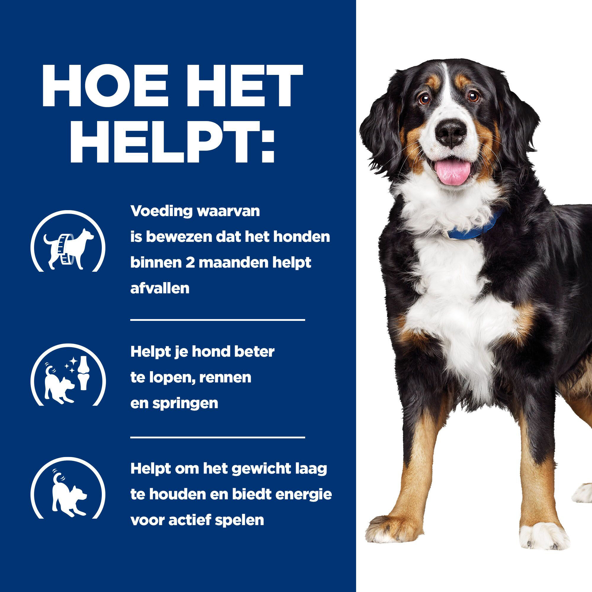 Hill's Metabolic + Mobility - Prescription Diet - Canine - Natvoer