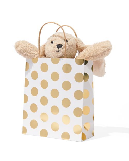 sac cadeau en papier 21x18x8 pois