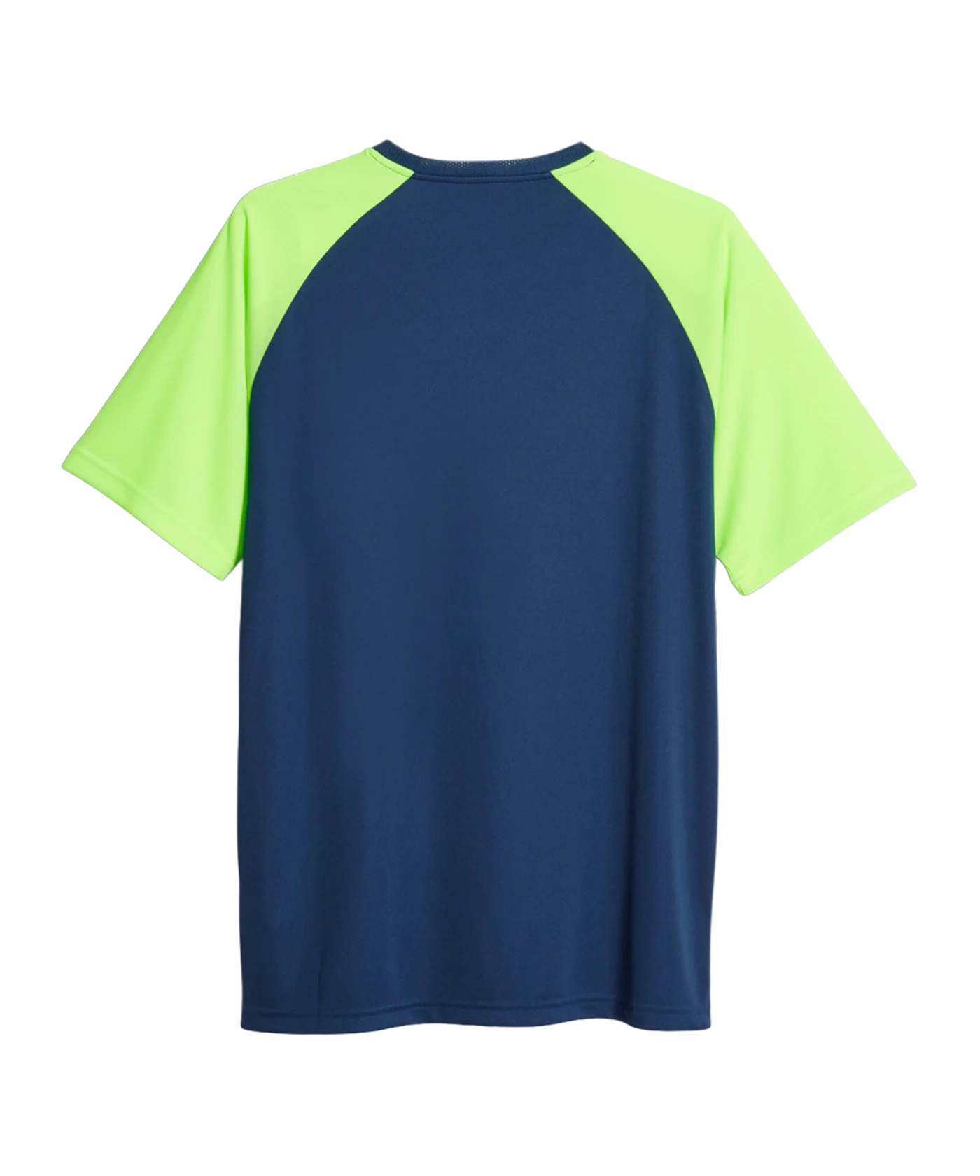PUMA teamLIGA Graphic Trikot Blau F54