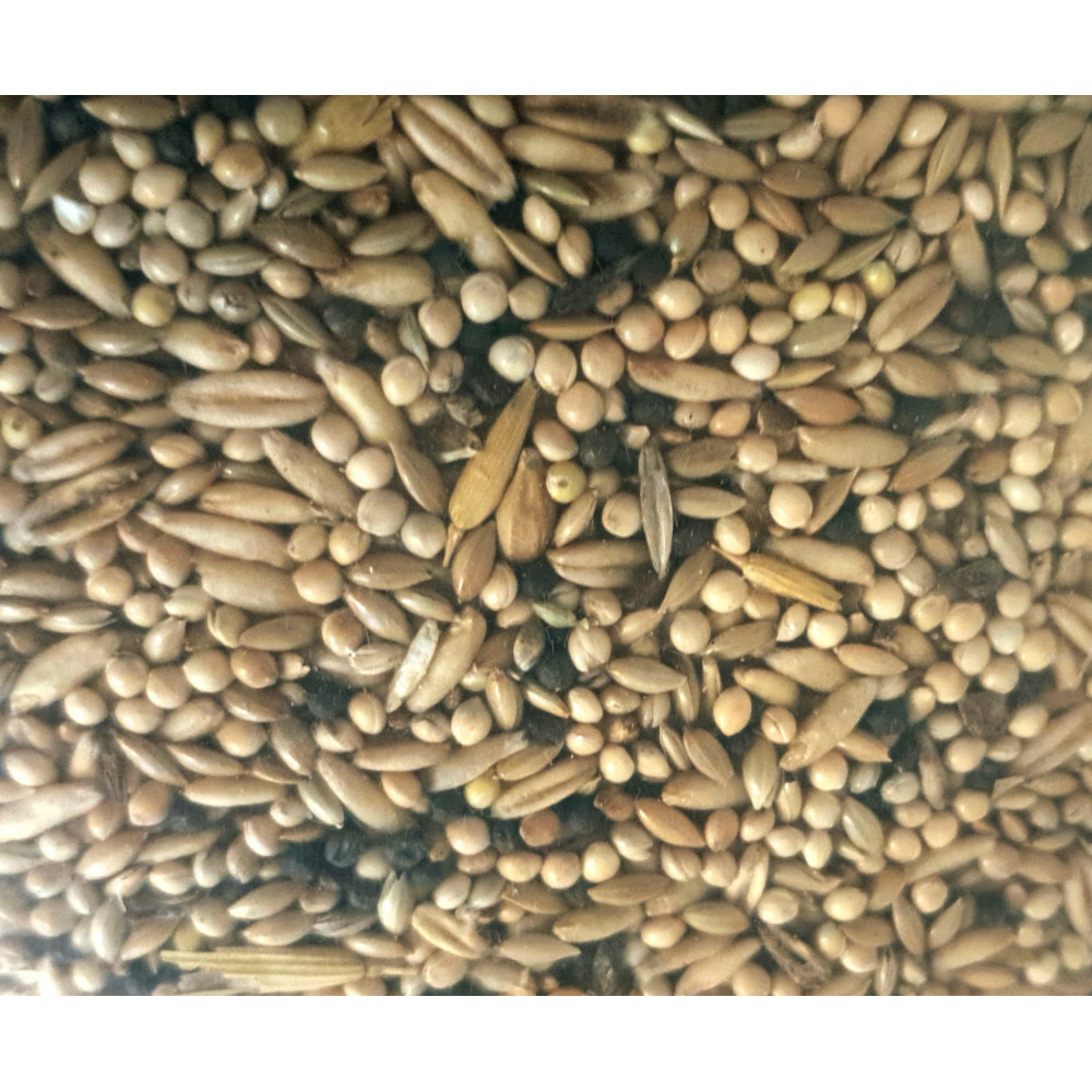 Graines pour canaris sac de 1 kg pour oiseaux
