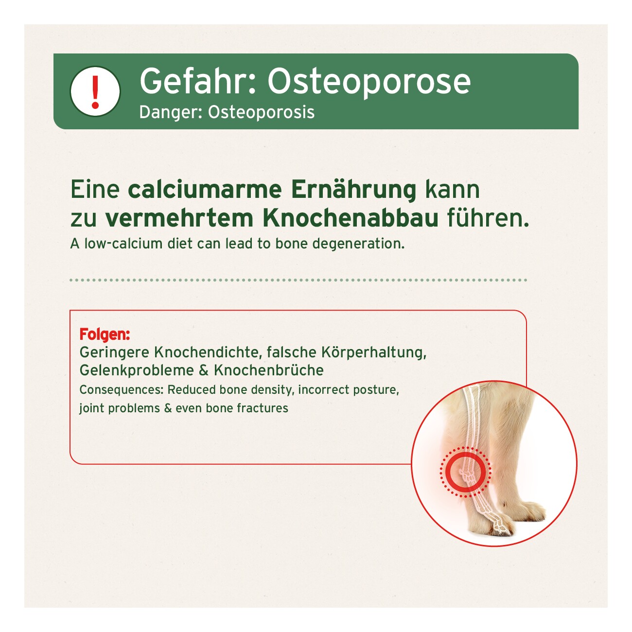 AniForte BARF-Line Gemahlene Knochen vom Rind 500 g