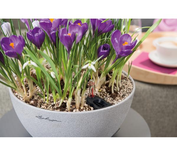LECHUZA® Kunststoff-Schale 'Cubeto Stone',