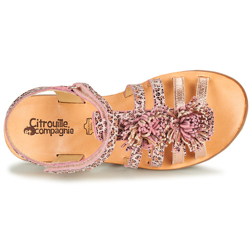 Citrouille et Compagnie - MARINAS - Rose