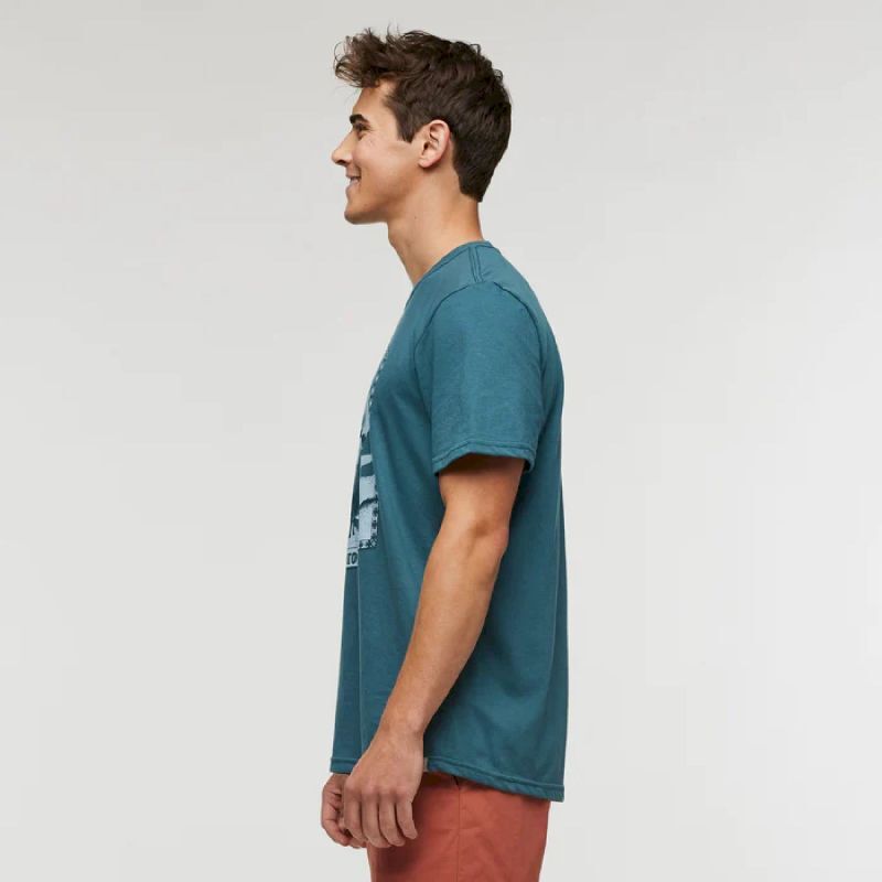 Llama Greetings Organic T-Shirt - T-shirt homme