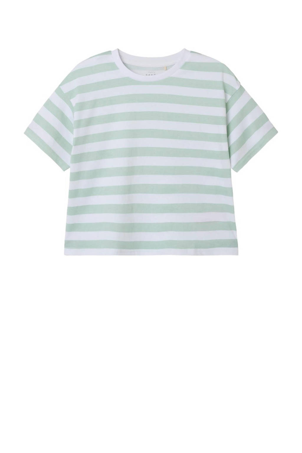 NAME IT gestreept T-shirt NKFVITANNI zachtgroen/wit