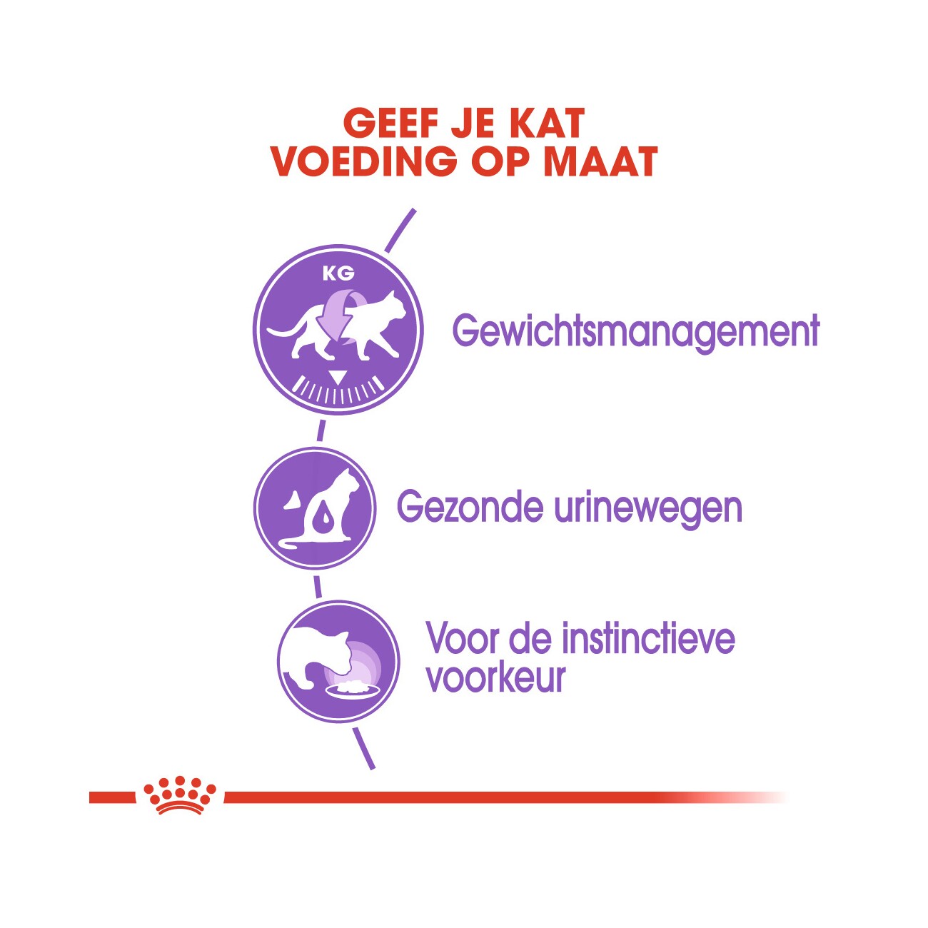 ROYAL CANIN Sterilised in Gelee 12x85 g