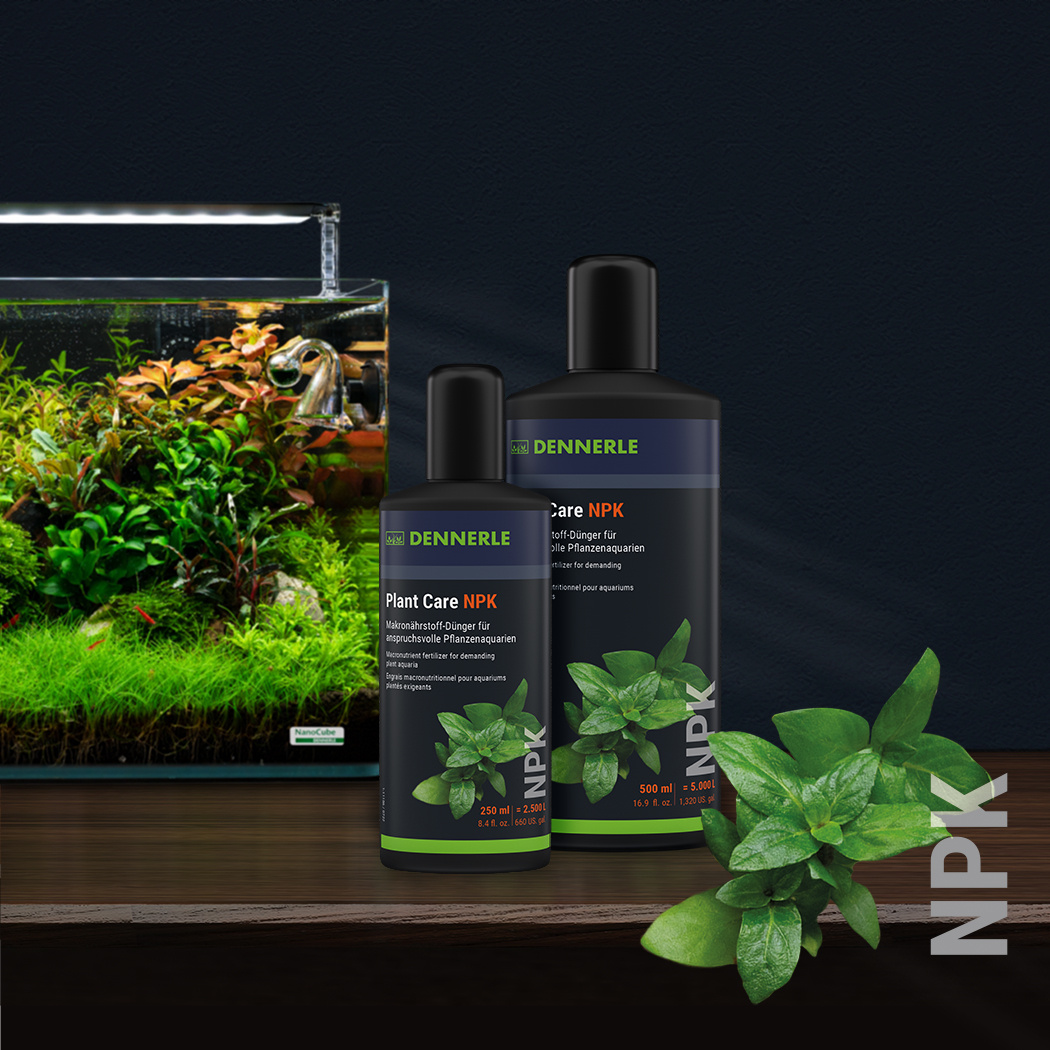 Dennerle Plant Care NPK 500ml | Plantenvoeding