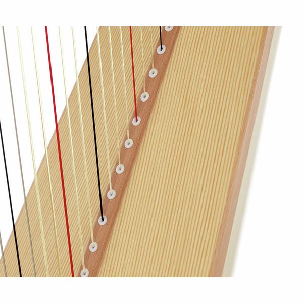 Salvi Gaia Lever Harp 38 Str. NM