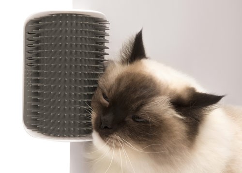 Catit Senses 2.0 Autolimpante - Ref. 43152W