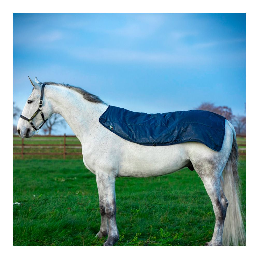 Horseware AMIGO - Couverture séchante delphiniu
