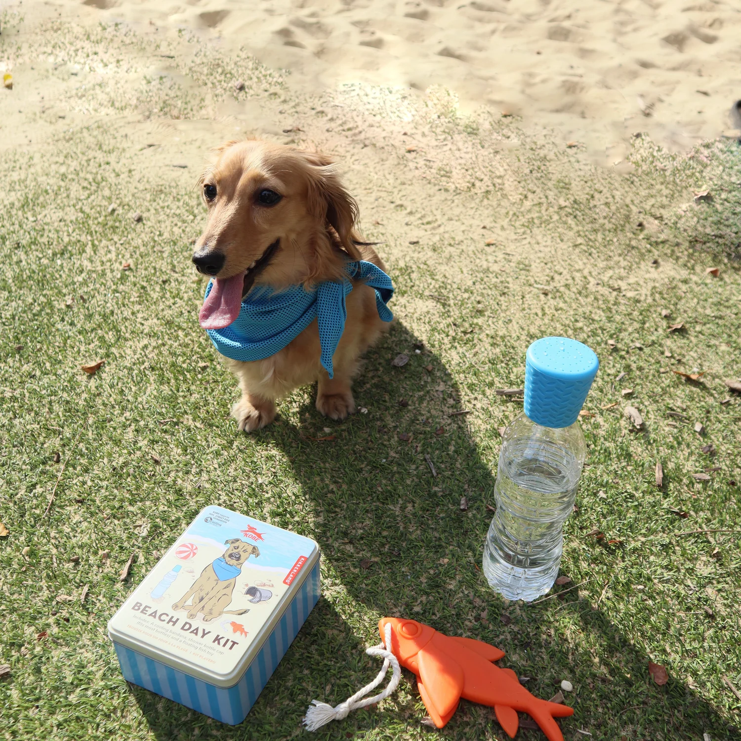 Kobe Beach Day Kit