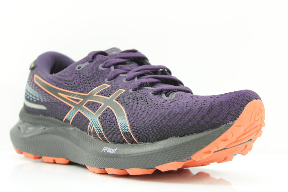 Asics Gel Cumulus 24 GTX