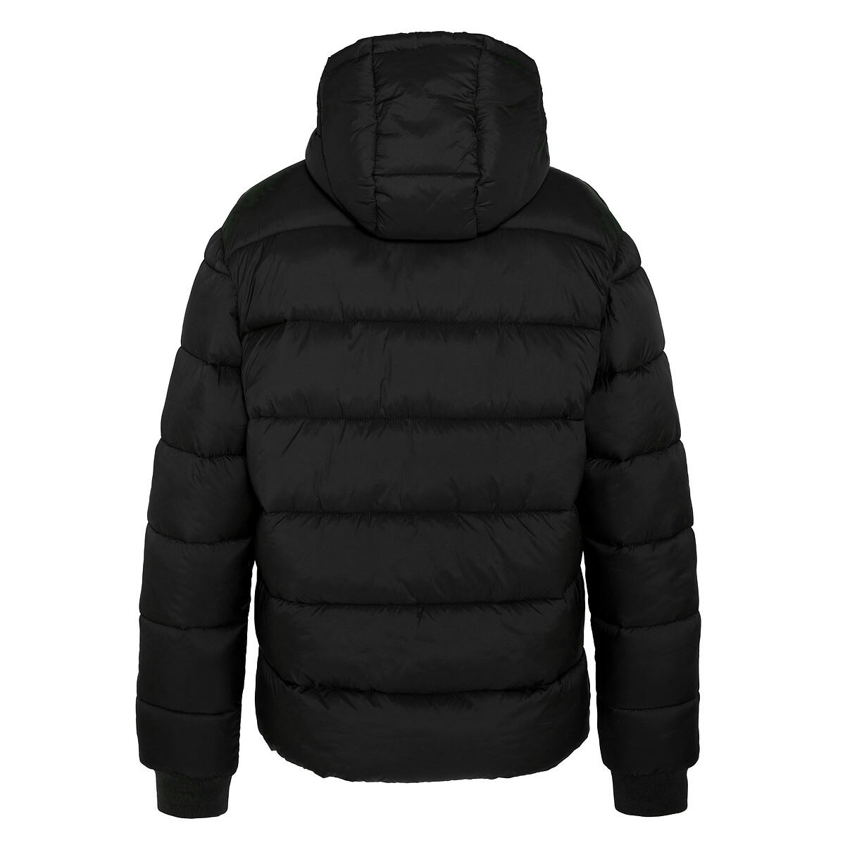 Jaqueta de plumas com capuz SCHOTT Hawk Rs