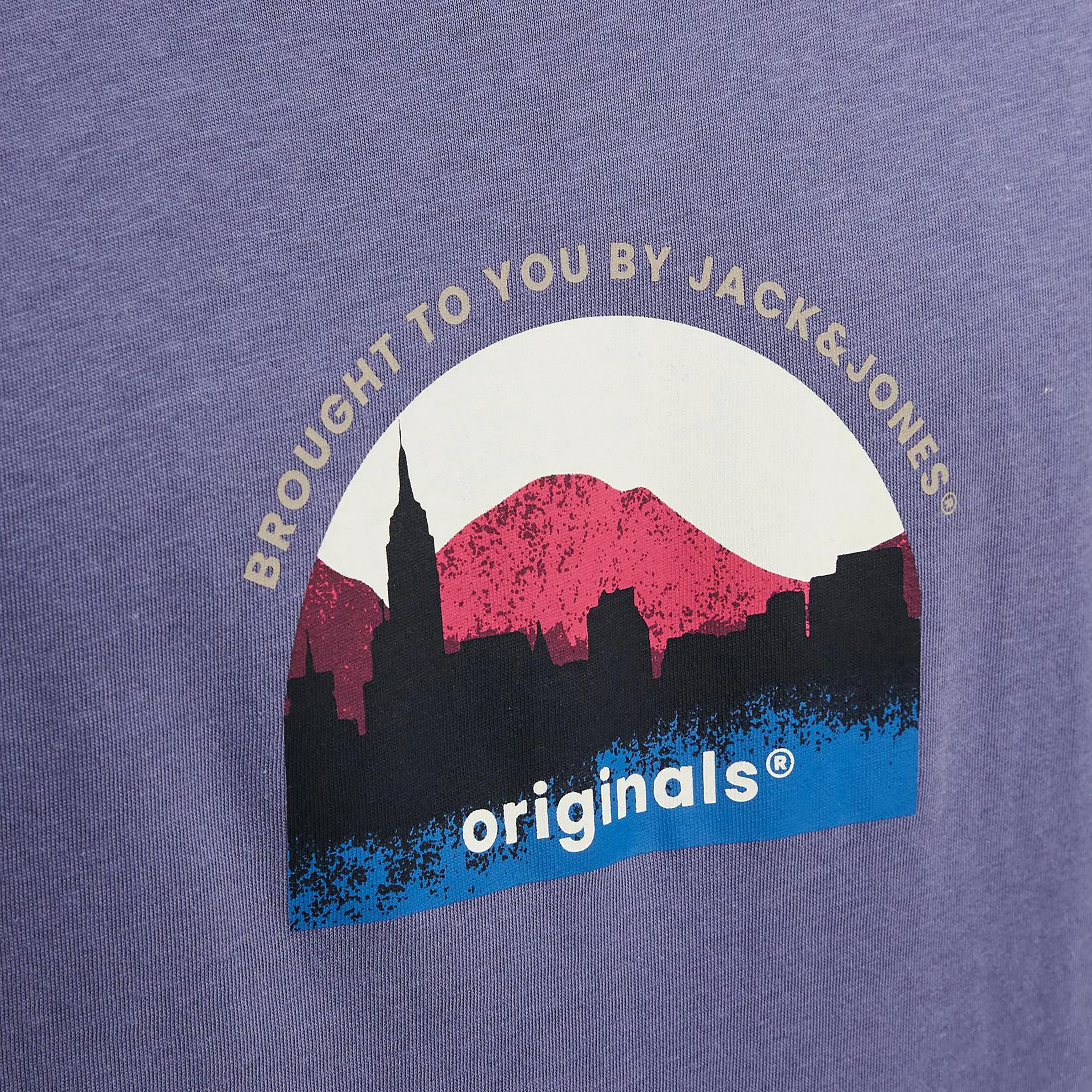 Jack&Jones JORSILVERLAKE GRAPHIC Shirt