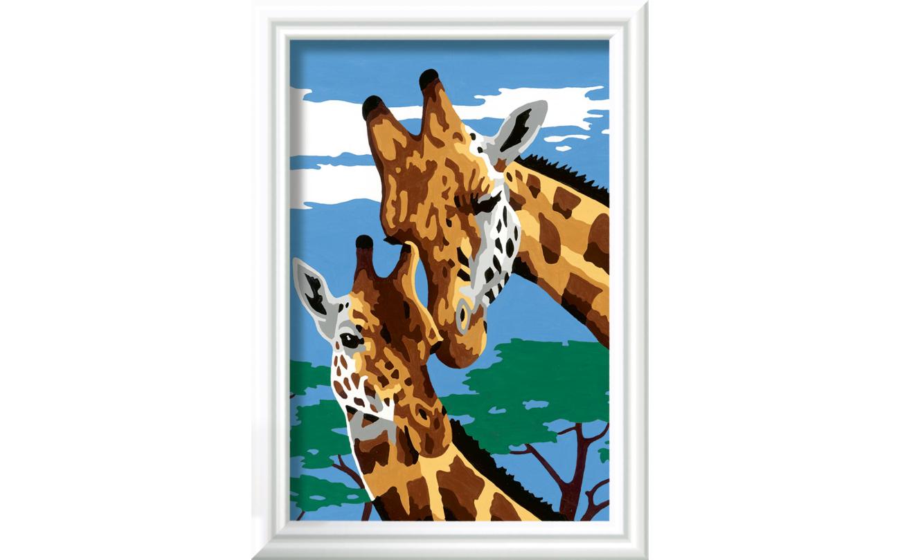 Cute Giraffes