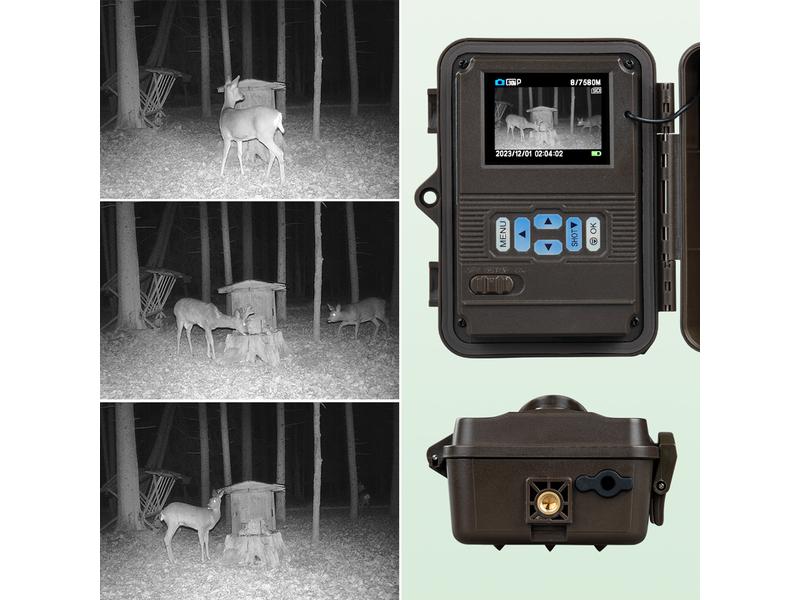 Dörr Kamera Wildkamera SnapShot Mini Black 30MP 4K Speziell für eine unauffällige Überwachung bei Tag und bei Nacht konzipiert