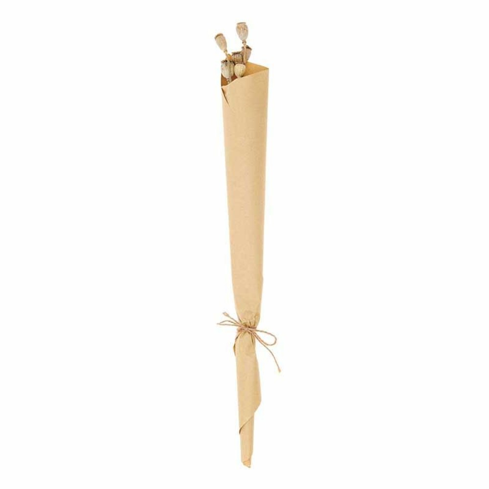Graines et fleurs de pavot séchées - 45 cm