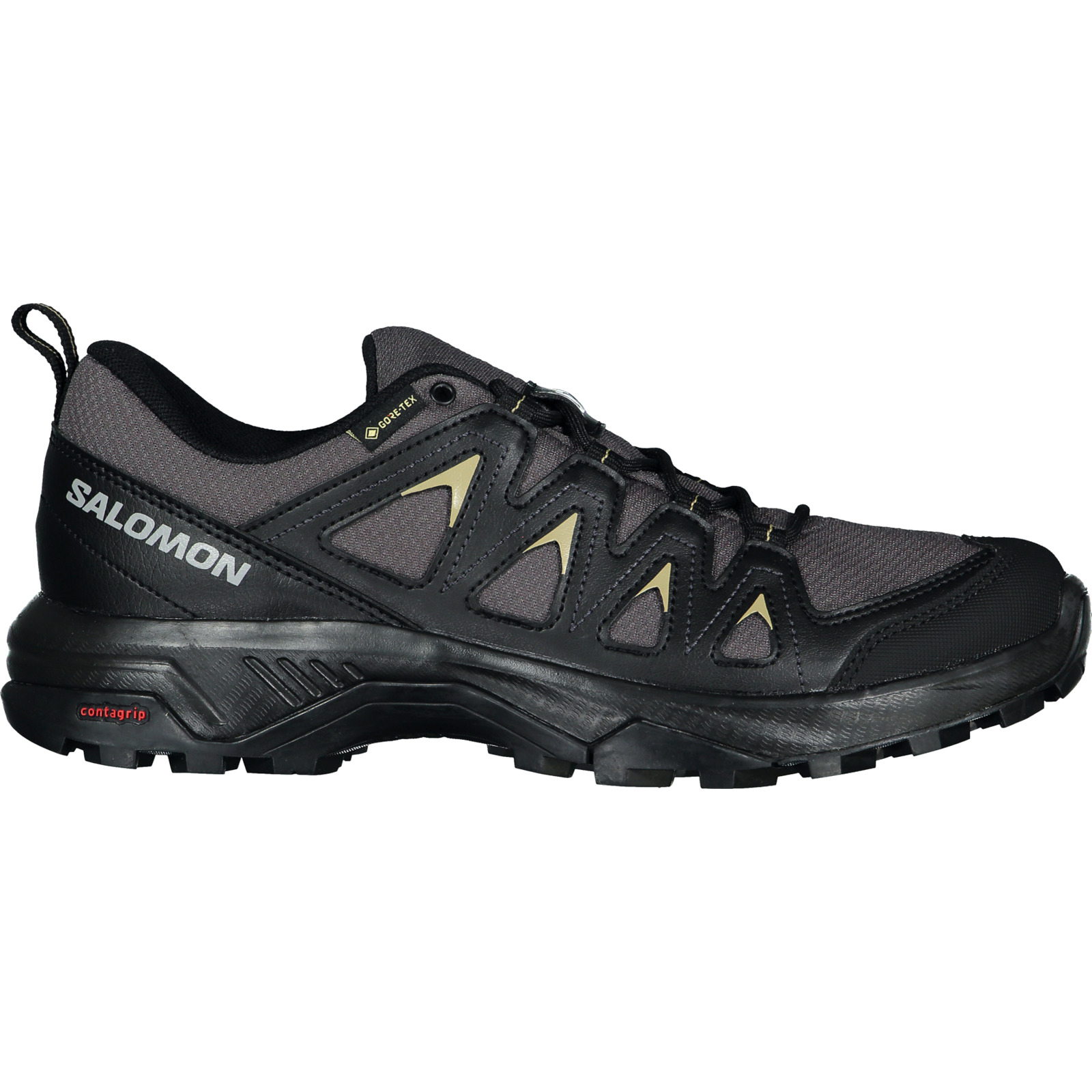 Salomon Herren-Trekkingschuh X Braze GTX 46